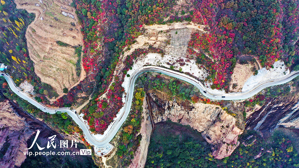 �������l(xi��ng)��̫����ɫ��